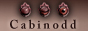 Cabinodd Gallery